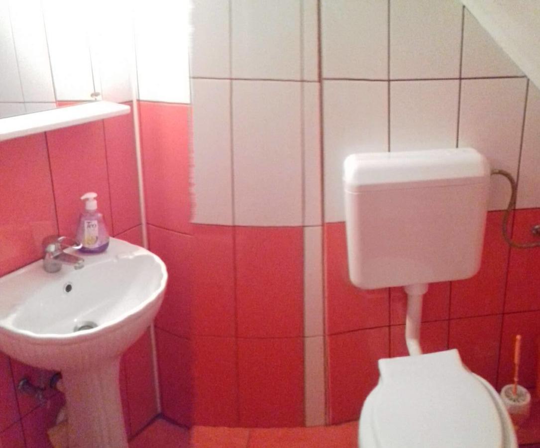 Pensiunea Denis Cîrţişoara エクステリア 写真